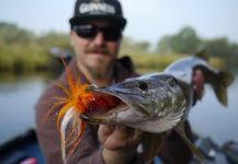 Fly Fishing for Pike - Interview with Guide Norbert Renaud