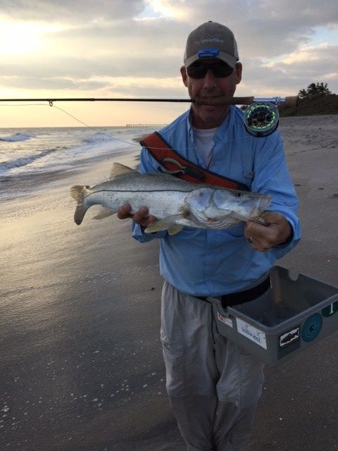 Another shot of this morns snook..they have been biting inside and out...one or more every morn...and it's almost thanksgiving?!?!....great fun..bet at it in morn..