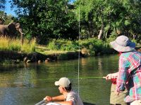 Fly fishing picture