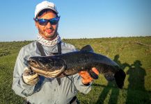  Captura de Pesca con Mosca de Tararira por Gabriel Badano | Fly dreamers