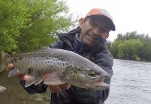  Foto de Pesca con Mosca de Lake salmon compartida por Rodo Radic | Fly dreamers