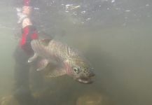  Gran Fotografía de Arte de Pesca con Mosca compartida por Jonathan Galván | Fly dreamers