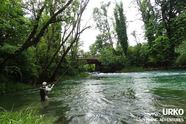 Dry fly madness on the river Bistra, with three Norwegian friends ... One of more picturesque places on Bistra.