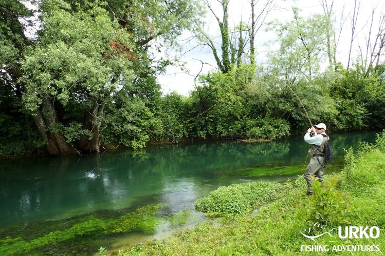 Dry fly madness on the river Bistra, with three Norwegian friends ... Erik with fish on!