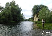 Grayling Fly-fishing Situation – Uros Kristan shared this Image in Fly dreamers 