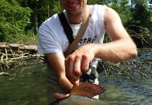 Fly-fishing Photo of Lady of the river shared by Uros Kristan | Fly dreamers 