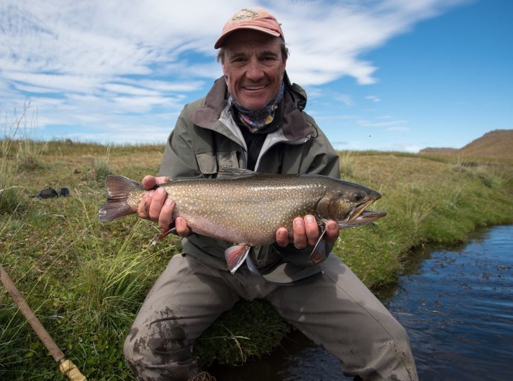 Finding fontinalis way down south Patagonia