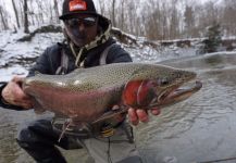 Fly-fishing Picture of Steelhead shared by Scott Grassi | Fly dreamers