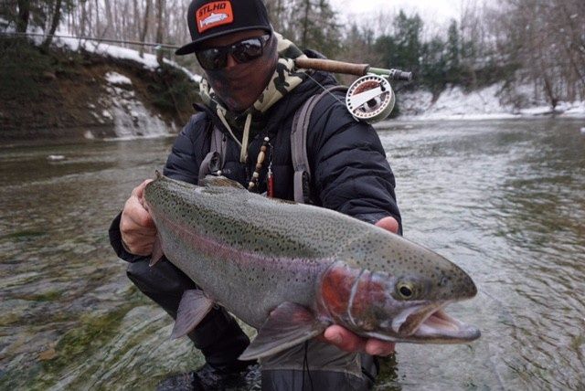 Lake Erie Steelhead