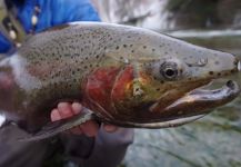  Fotografía de Pesca con Mosca de Steelhead por Scott Grassi | Fly dreamers 