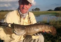 Fly-fishing Picture of Wolf Fish shared by Pablo Calvo | Fly dreamers