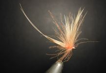 Fly-tying for German brown - Image by Agostino Roncallo 