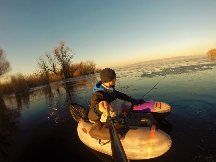 Zala River estuary in winter (Lake Balaton)