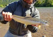  Fotografía de Pesca con Mosca de Salmón encerrado compartida por Diego Soto | Fly dreamers