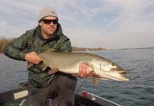 Fly-fishing Photo of Muskie shared by Ryan Shea | Fly dreamers 