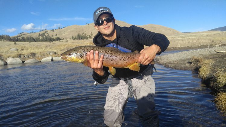 Fall Brown Trout Spawn 