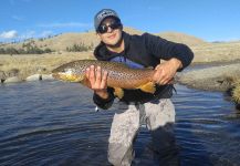 Fly-fishing Photo of Brown trout shared by Jesse Sotelo | Fly dreamers 