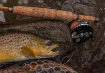 Fly-fishing Image of German brown shared by Rusty Lofgren | Fly dreamers