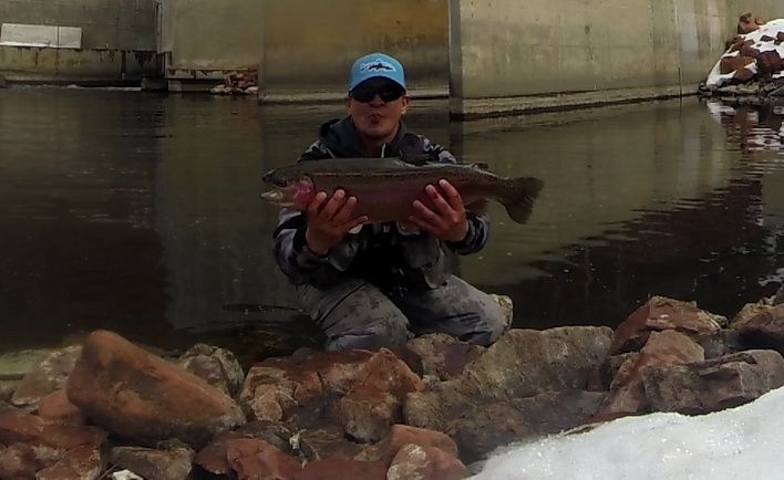 Colorado sight fishing with midges.