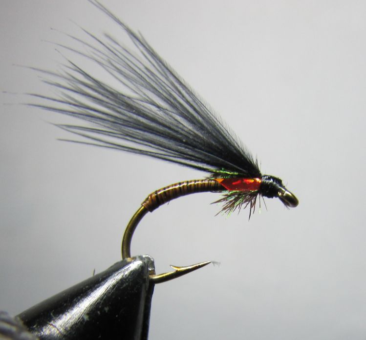 Stripped quill cormorant I tied last year and done well with.