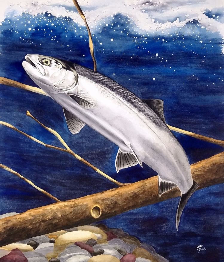 Sockeye Salmon Original Watercolor Painting