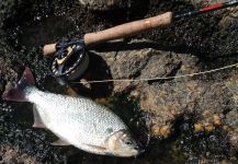  Foto de Pesca con Mosca de Pirá pitá compartida por Carlos Benarducci | Fly dreamers