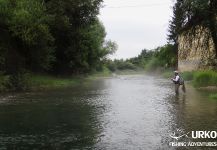  Fly-fishing Situation of Lady of the stream - Photo shared by Uros Kristan from Ljubljanica River | Fly dreamers 