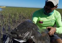  Foto de Pesca con Mosca de Lenguado compartida por Sergio Caravetta | Fly dreamers