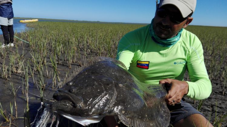 San Blas, pesca de lenguados. Febrero 2017