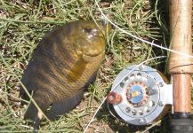  Fotografía de Pesca con Mosca de Chanchita por Roberto Garcia | Fly dreamers 