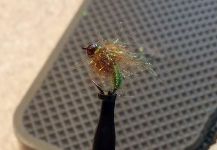 Fly-tying Pic shared by Cierra Bennetch | Fly dreamers 