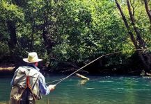 Fly-fishing Situation of Salmo trutta - Photo shared by Musicarenje.net  - Murino | Fly dreamers 