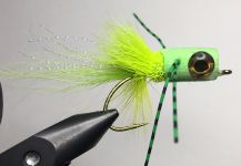 Fly for Smallmouth Bass - Picture shared by Laurin Parker | Fly dreamers
