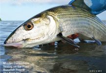 Tail Fly Fishing Magazine is now in print