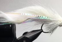 Fly-tying for Smallmouth Bass - Image by Laurin Parker 
