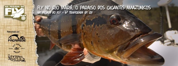 RIO MARIÉ
O rio dos gigantes!
Essa é a pegada!!!
#FishtTV
#NaPegadadoFly
#FacanaRede
#FlyShopBrasil
#Moster3x
#UntamedAngling
#CopicBrasil
#HARDadventure
