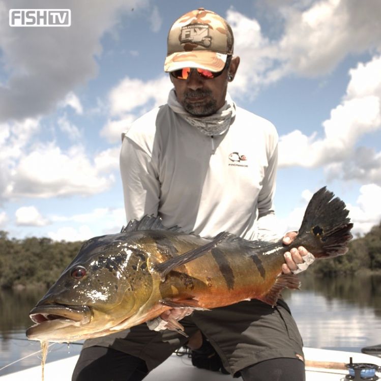 TUCUNARÉ -AÇÚ

#FishtTV
#NaPegadadoFly
#FacanaRede
#FlyShopBrasil
#Moster3x
#UntamedAngling
#CopicBrasil
#HARDadventure