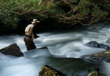  Trucha arcoiris – Situación de Pesca con Mosca – Por Edevar Zorrer