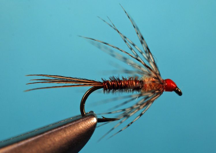 Partridge &amp; Pheasant Tail