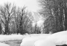 Big Wood River, Sun Valley, Idaho, United States