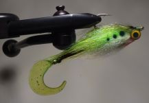 Jack Denny 's Fly-tying for Flounder - Image | Fly dreamers 