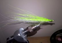 Fly-tying for Giant Herring - Image by Kellyanne Gill 
