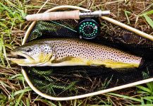 Rusty Lofgren 's Fly-fishing Photo of a European brown trout | Fly dreamers 