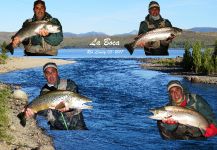  Salmo trutta – Situación de Pesca con Mosca – Por Fernando Rubini