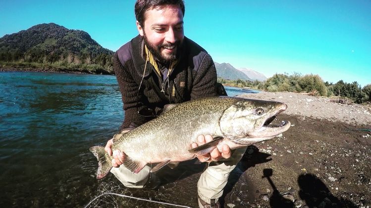 #nicoklein de nuevo en el #fiftyclub con Chinook (71cm) #riopetrohue
#patagonia #chile