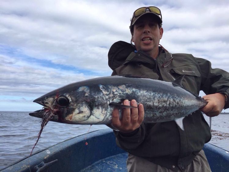 Atun pescado por mi amigo Arturo en chile mosca Malbran 