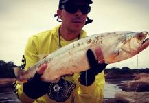  Captura de Pesca con Mosca de Chafalote por Mariano Romero | Fly dreamers