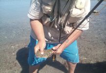 Fly-fishing Pic of Flounder shared by Claudio Romero | Fly dreamers 