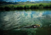 Salmon River, Sun Valley, Idaho, United States