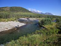 Fly fishing picture